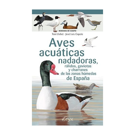 Aves Acuaticas Nadadoras, Ralidos, Gaviotas y Charranes de las Zonas Humedas de   2025