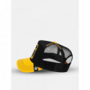 Gorra Goorin The Rowdy Bird  GOORIN BROS