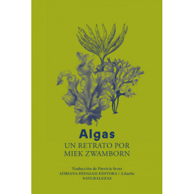 Algas   2024