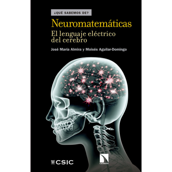 Neuromatemã¡ticas