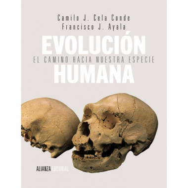 Evoluciã³n Humana