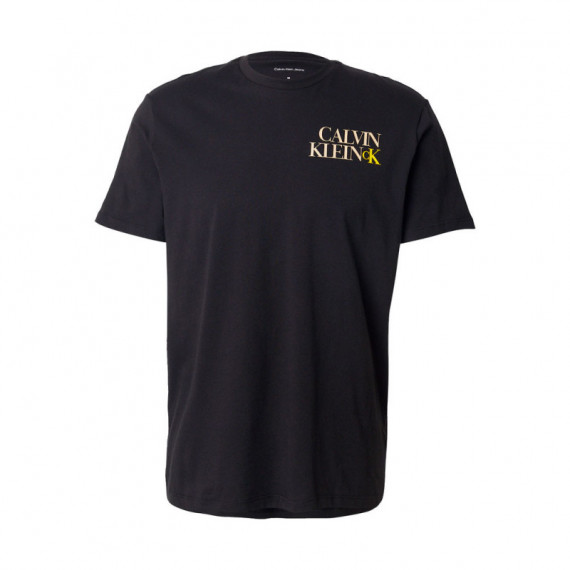 Camiseta 30'S Regular Fit  CALVIN KLEIN