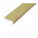 Angulo Escalera 40x15-1m Aluminio Oro