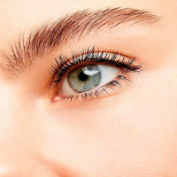 Mascara Volume Effet Faux Cils Radical
máscara de Pestañas  YVES SAINT LAURENT