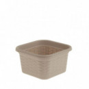 Ordenación Cesto-a 0463079