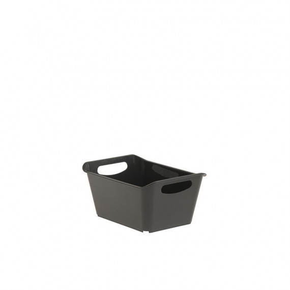 Ordenación Cesto-a 4629992