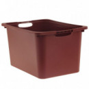 Ordenación Cesto-a 4629998