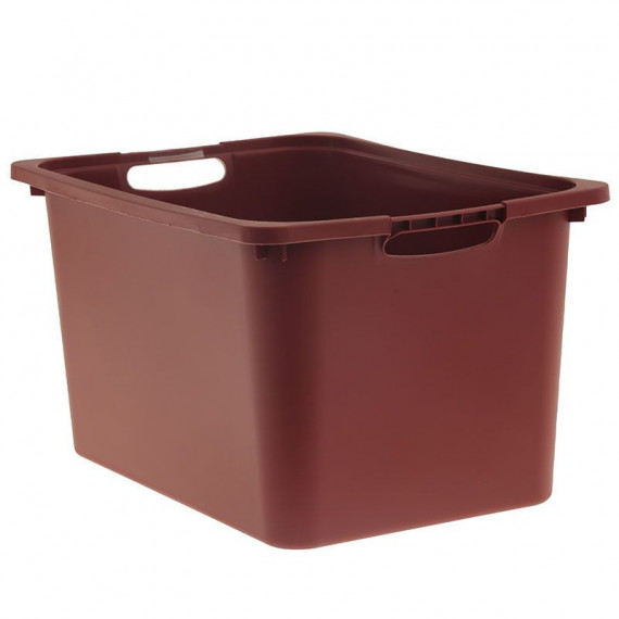 Ordenación Cesto-a 4629998