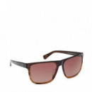 Gafas de Sol TB00054-H  TIMBERLAND