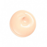 Wrinkle Smoothing Eye Cream  SHISEIDO