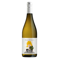 Madame Merseguera 2024 - 75CL  BODEGAS VOLVER