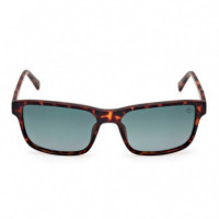 Gafas de Sol TB00051/S  TIMBERLAND