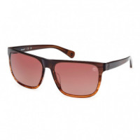 Gafas de Sol TB00054-H  TIMBERLAND