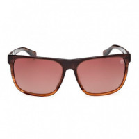 Gafas de Sol TB00054-H  TIMBERLAND