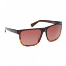 Gafas de Sol TB00054-H  TIMBERLAND
