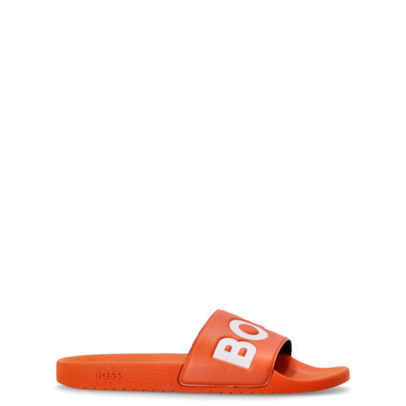 BOSS - Aryeh_slid_npvlg - 823 - 50536835/823