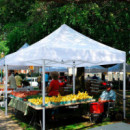 Carpa Profesional HEX.50 con Paredes Blanca DONNA GARDEN 3X3 Metros