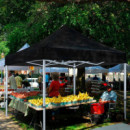 Carpa Profesional HEX.50 con Paredes Negra DONNA GARDEN 3X3 Metros