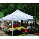 Carpa Profesional HEX.50 con Paredes Blanca DONNA GARDEN 4X6 Metros