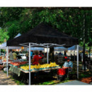 Carpa Profesional HEX.50  con Paredes Negra DONNA GARDEN 4X6 Metros