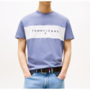 Camiseta TOMMY JEANS Linear Azul