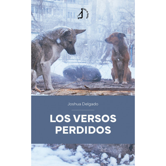 los Versos Perdidos   2025