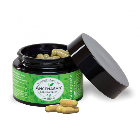 ANCENASAN COLINA Y POLIFENOLES 30GR 60 CAPSULAS