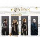 Pack de 4 Marcapáginas Magnético Harry Potter  SD TOYS MERCHANDISING