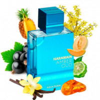 Amber Oud Aqua Dubai  AL HARAMAIN