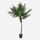 Planta Artificial Realista- 210CM- Terrazza®- Interior  TERRAZZA COLLECTION