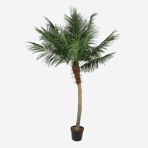 Planta Artificial Realista- 210CM- Terrazza®- Interior  TERRAZZA COLLECTION