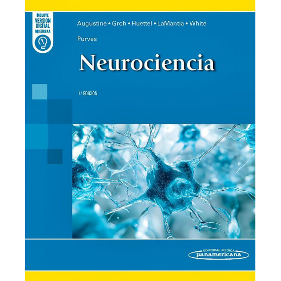 Purves. Neurociencia (7Âª Ed.) -duo-   2025