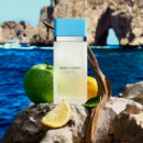 DOLCE & GABBANA Light Blue Eau de Toilette 	
estuche