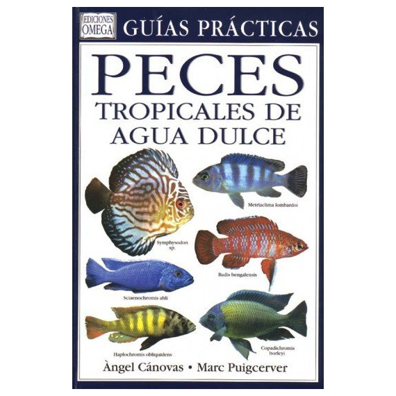 Peces Tropicales de Agua Dulce