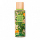 Melon Drench  VICTORIA´S SECRET