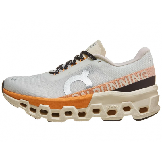 ON RUNNING Cloudmonster 2