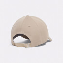 UNDER ARMOUR Gorra Heatgear 1376705-299