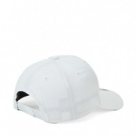 Gorra New York Yankees  47 BRAND