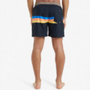 Bañador QUIKSILVER Everyday 15"