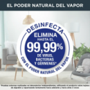 Cepillo de Vapor ROWENTA Access Steam Force