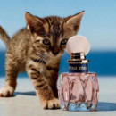 L'eau Rosée Edt  MIU MIU