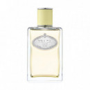 Infusion de Gingembre Edp  PRADA - PARADOXE