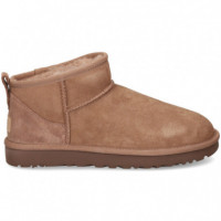 Botin Corto ante Marron  UGG