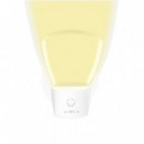 Luz de Compañía y Orientación SARO