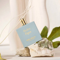 Hydra Figue  MILLER HARRIS