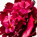 la Bomba - Body Cream
crema Corporal  CAROLINA HERRERA