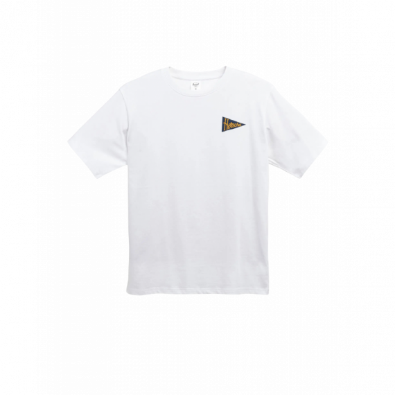 Camisetas Hombre Camiseta HERSCHEL Pennant