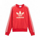 ADIDAS ORIGINALS - Wb Nylon Crew - Betsca - JE5994/BETSCA