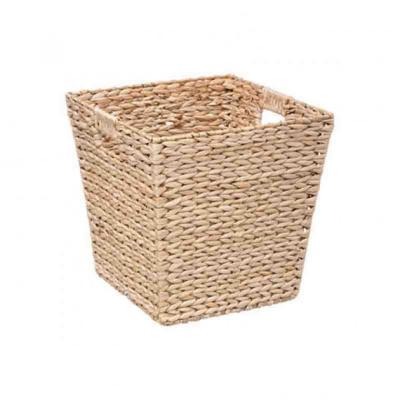 Ordenación Cesto-a 1313554