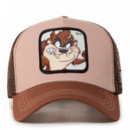 Gorra Looney Tunes Taz  CAPSLAB